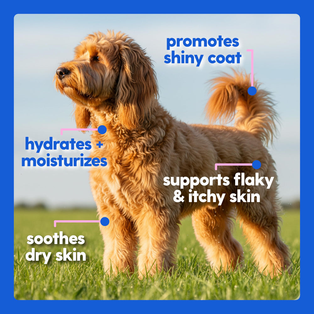 Taily Liquid Collagen daily-dosing-steps: clear intake guidance for pets.