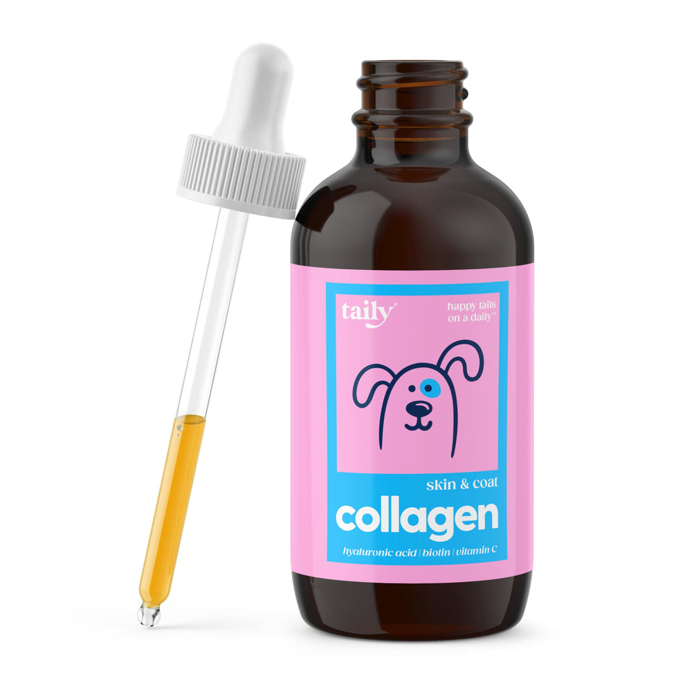 Taily Liquid Collagen coat-bright: promotes a shinier dog coat.