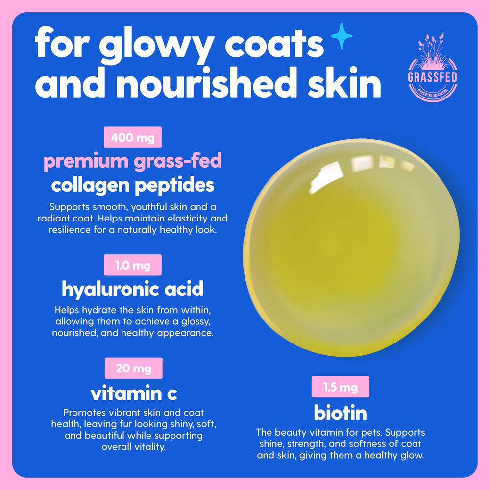 Taily Liquid Collagen usa-made: badge highlights USA production.