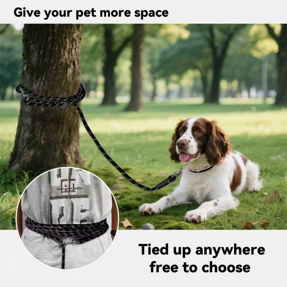 Tairro Long Dog Training Leash 10ft blue with reflective stitching for safer dusk walks.