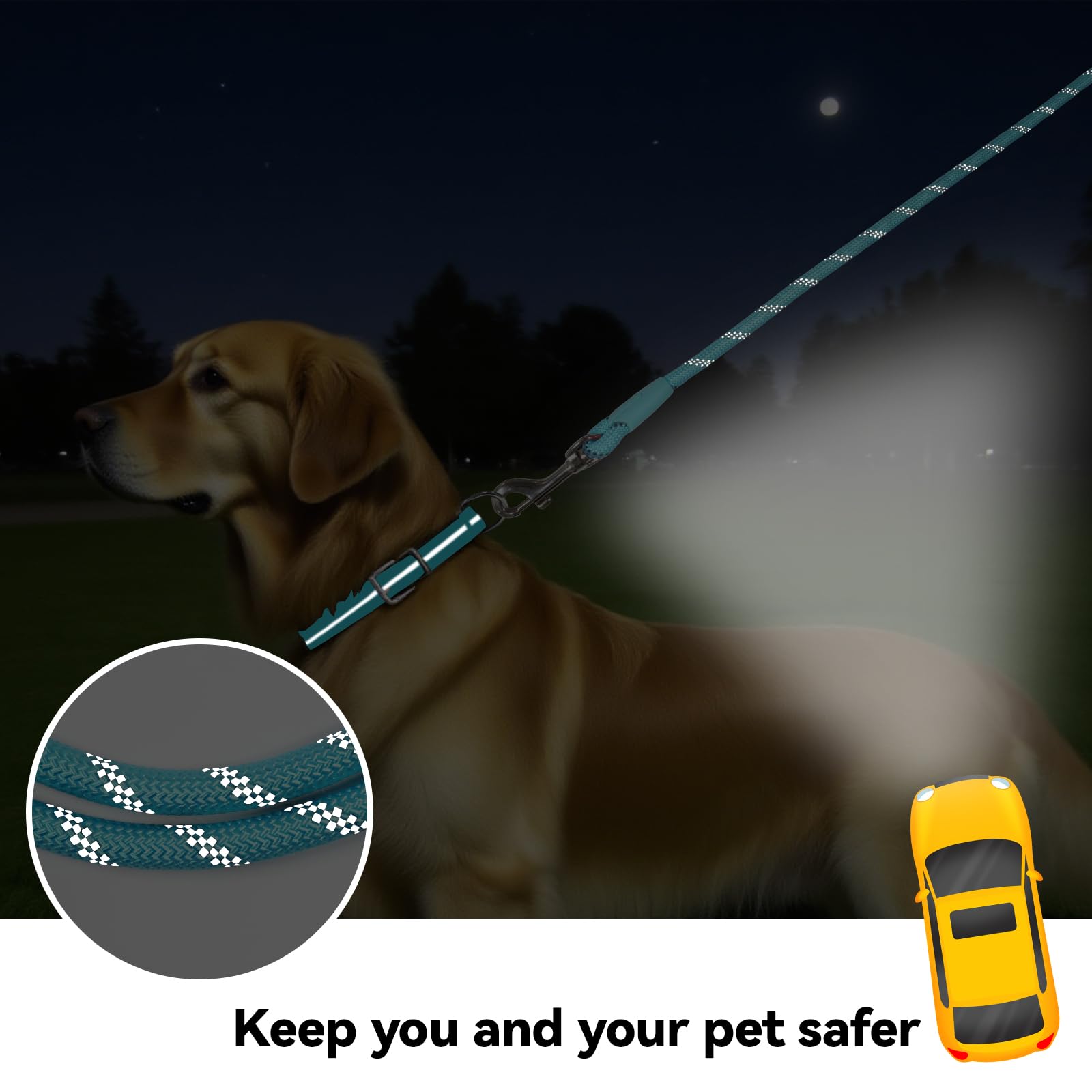 Tairro long dog training leash 15ft black ideal for controlled long-distance sessions.