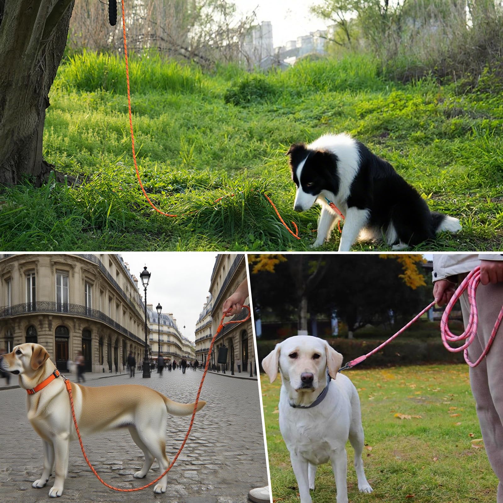Tairro Long Dog Training Leash with 360-degree swivel-hook reduces tangles during training.