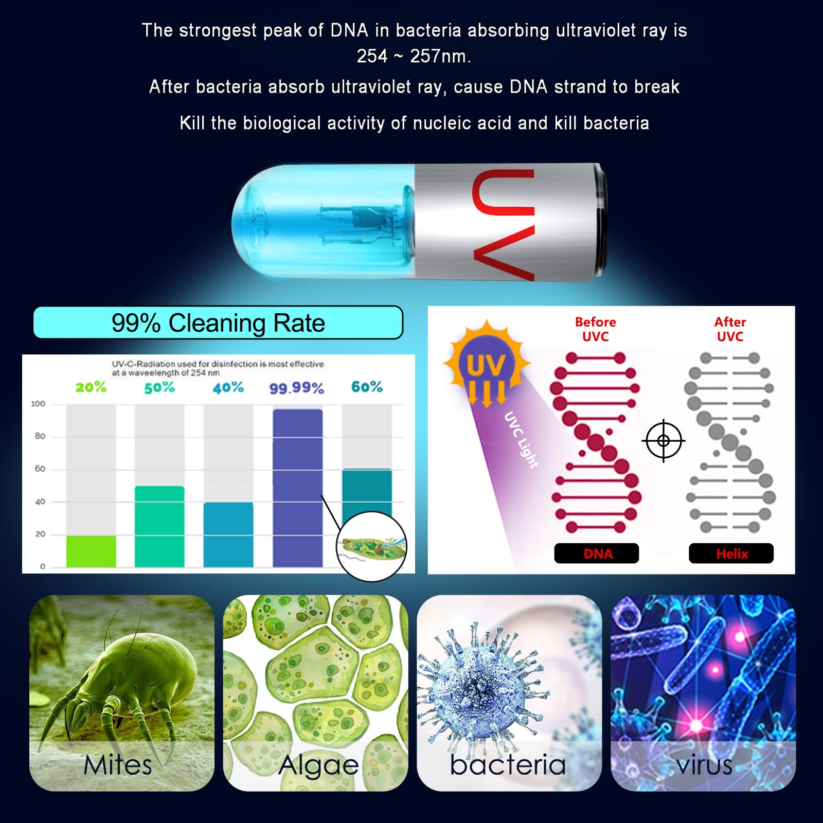 TAISHAN Aquarium Clean Light timer controls for easy 3/6/12/24h scheduling