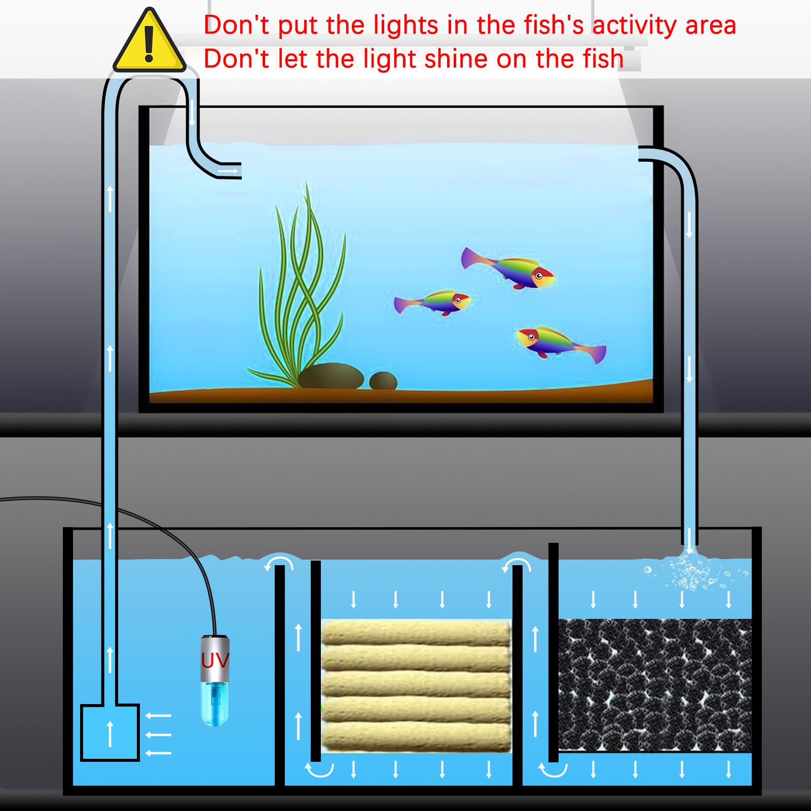 TAISHAN Aquarium Clean Light installed in-tank to curb green water