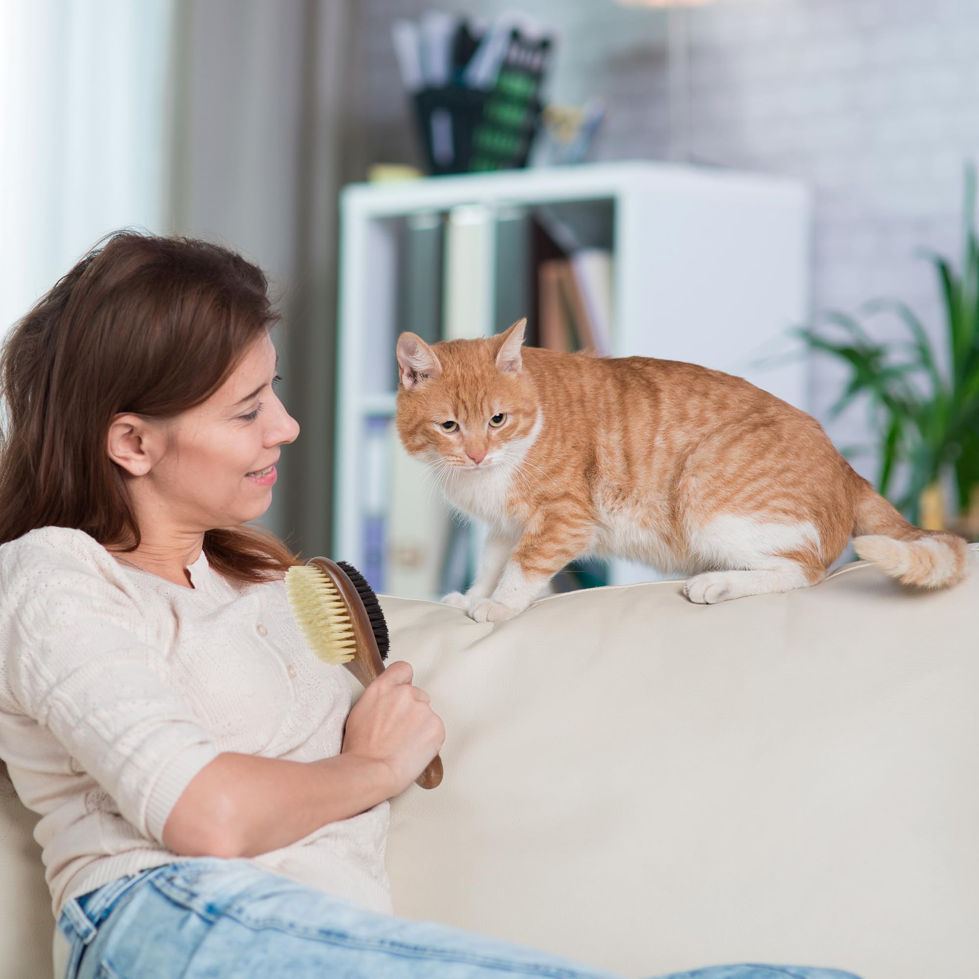 TAKAVU cat brush suitable for all breeds, from short to long-haired.