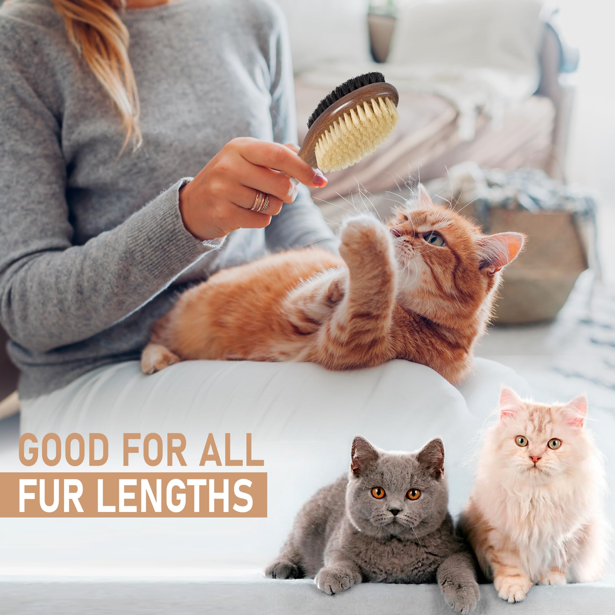 TAKAVU cat brush helps distribute natural oils and promote coat shine.