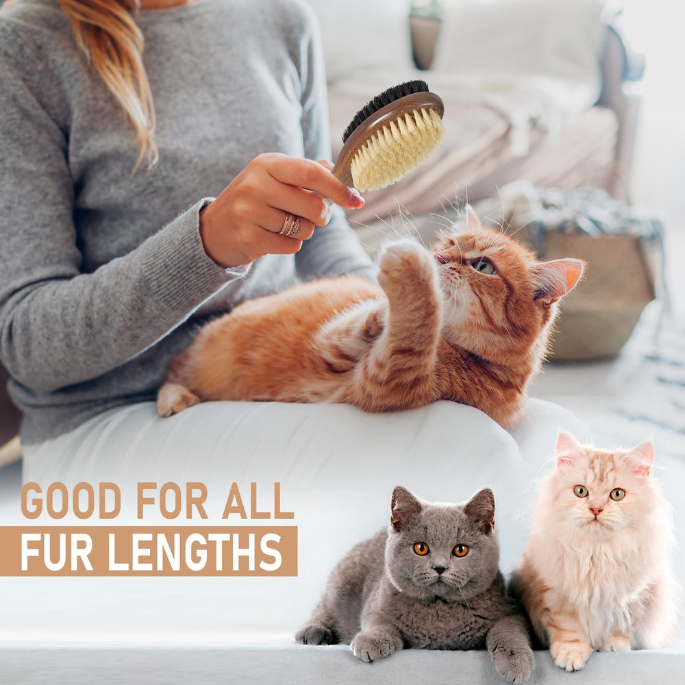 TAKAVU cat brush helps distribute natural oils and promote coat shine.