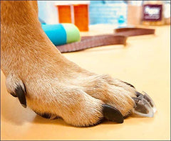 TAKTIKAL Dog Toe Treads adhesive in action, improving traction on slick floors.