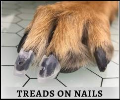 24-count pack provides coverage for multiple nails