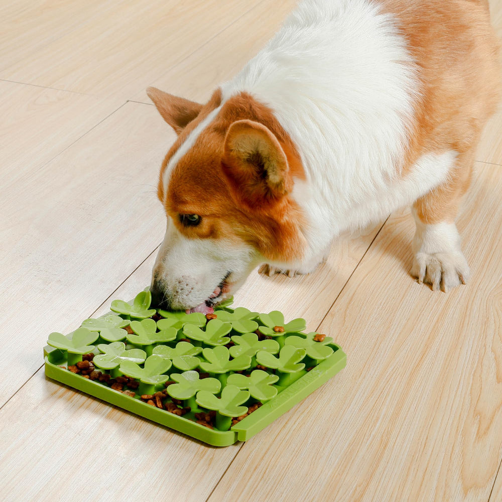 Tall Tails Clover Foraging Mat works with kibble and treats.