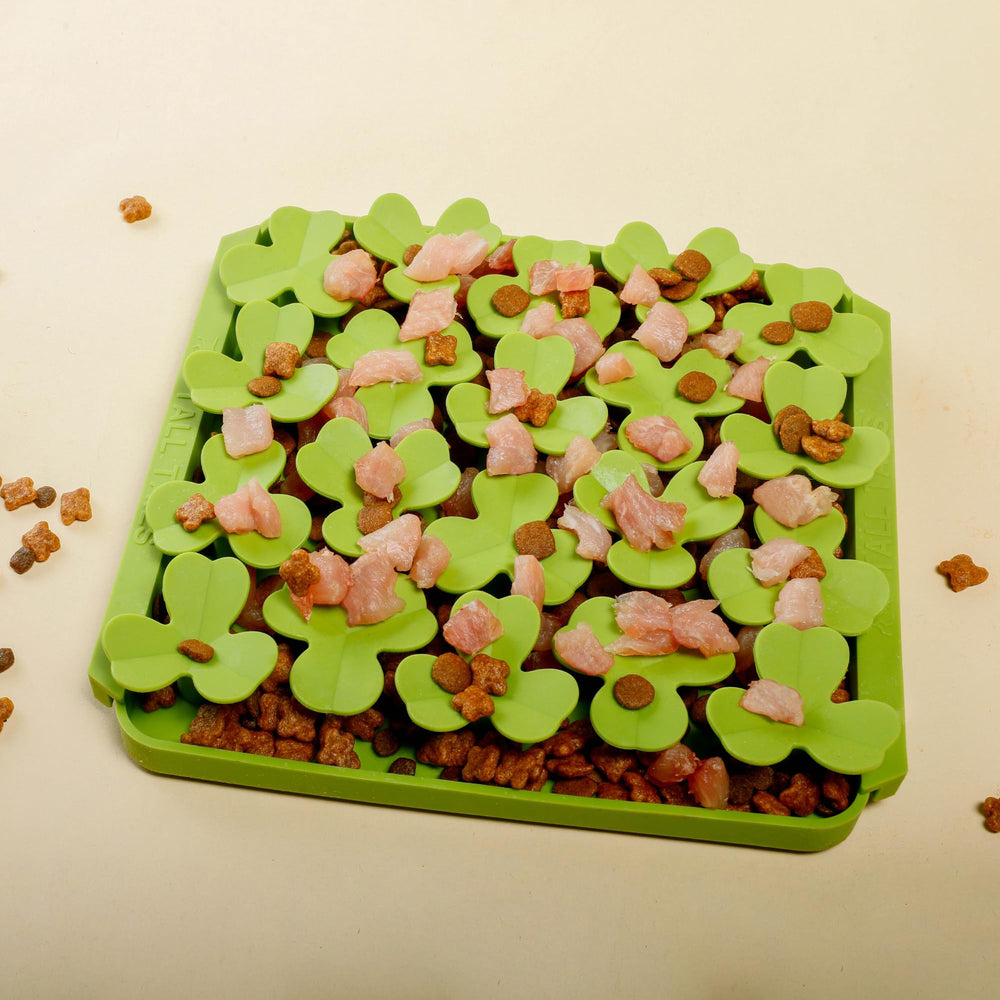 Tall Tails Clover Foraging Mat practical indoor feeding solution.