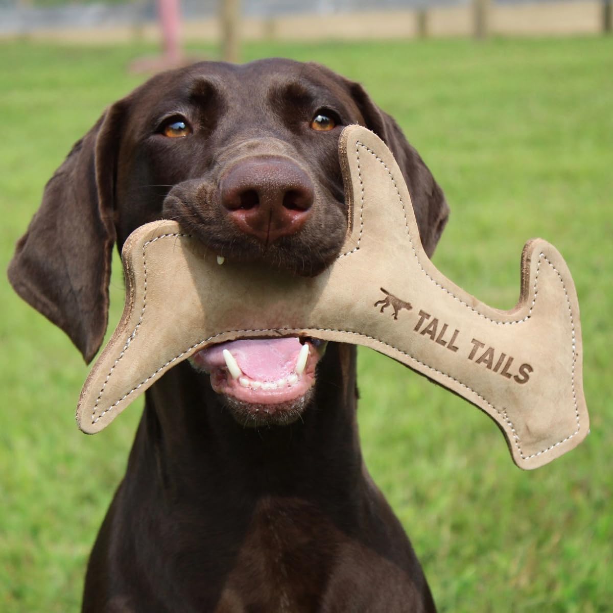 Tall Tails leather antler fetch toy, coconut husk filling detail.