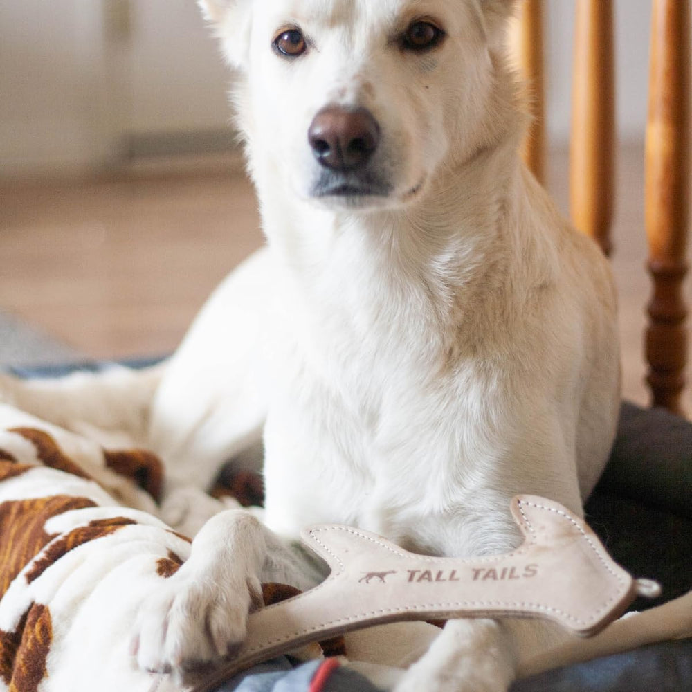 Tall Tails leather antler fetch toy, designed for medium and large dogs.