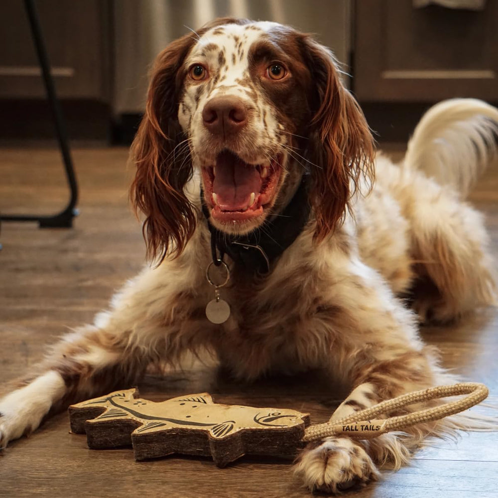 Tall Tails Trout Tug Toy provides a rugged, interactive play experience.