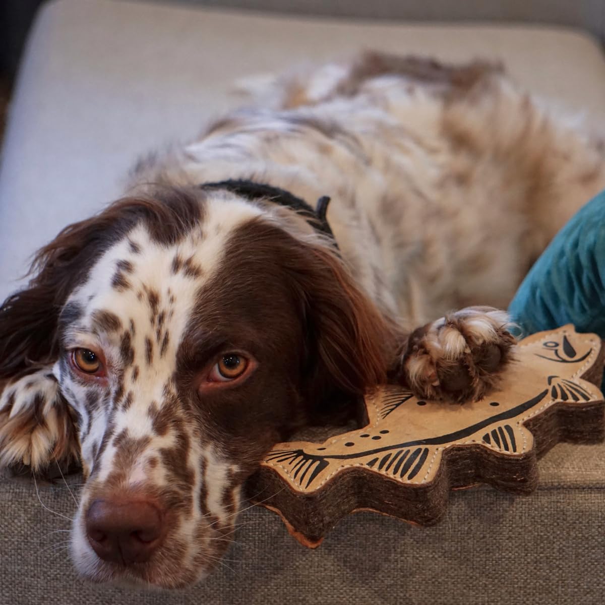 Tall Tails Trout Tug Toy cleans easily after playtime.