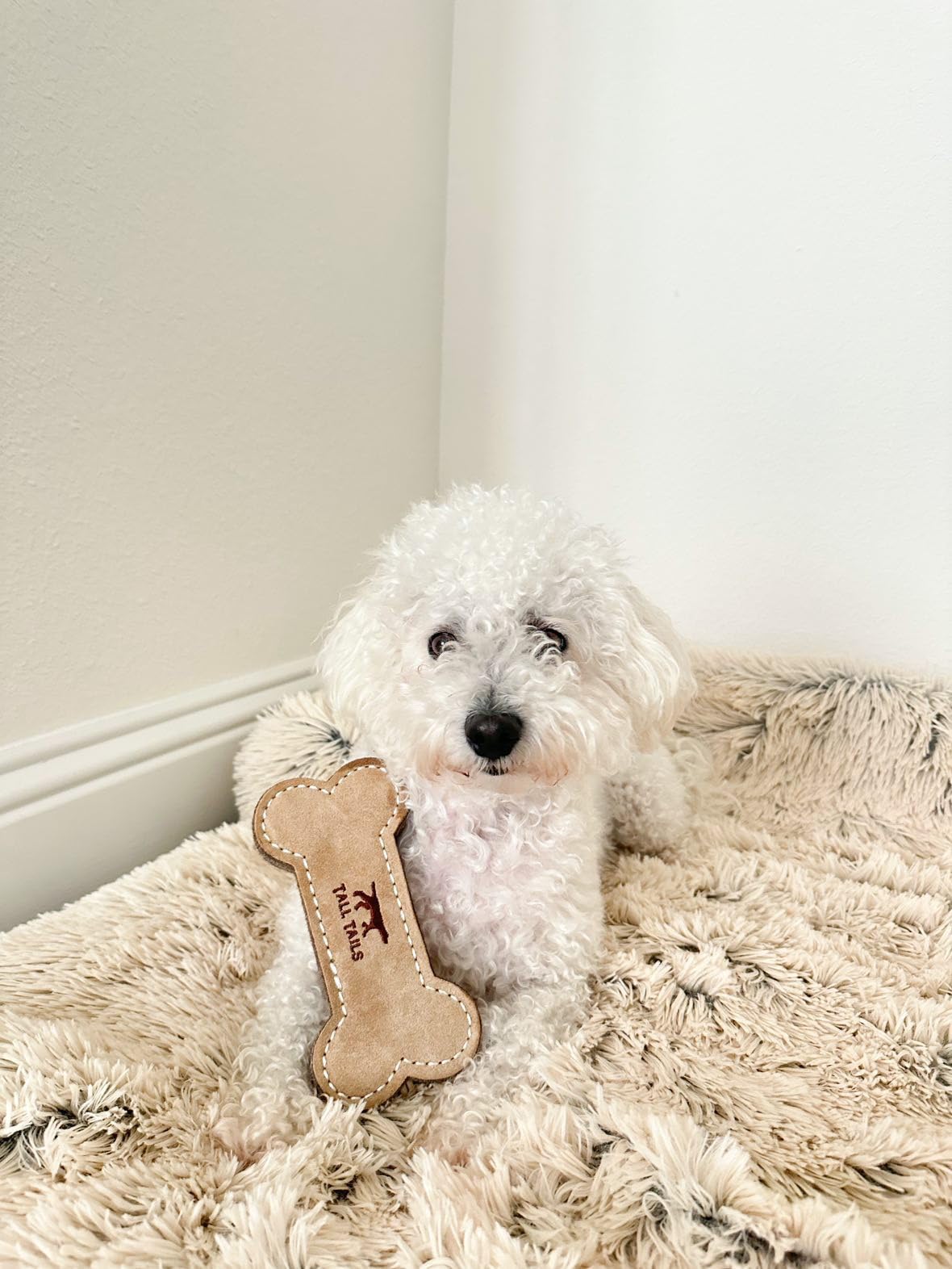 Tall Tails tug-of-war setup with the leather bone toy during play