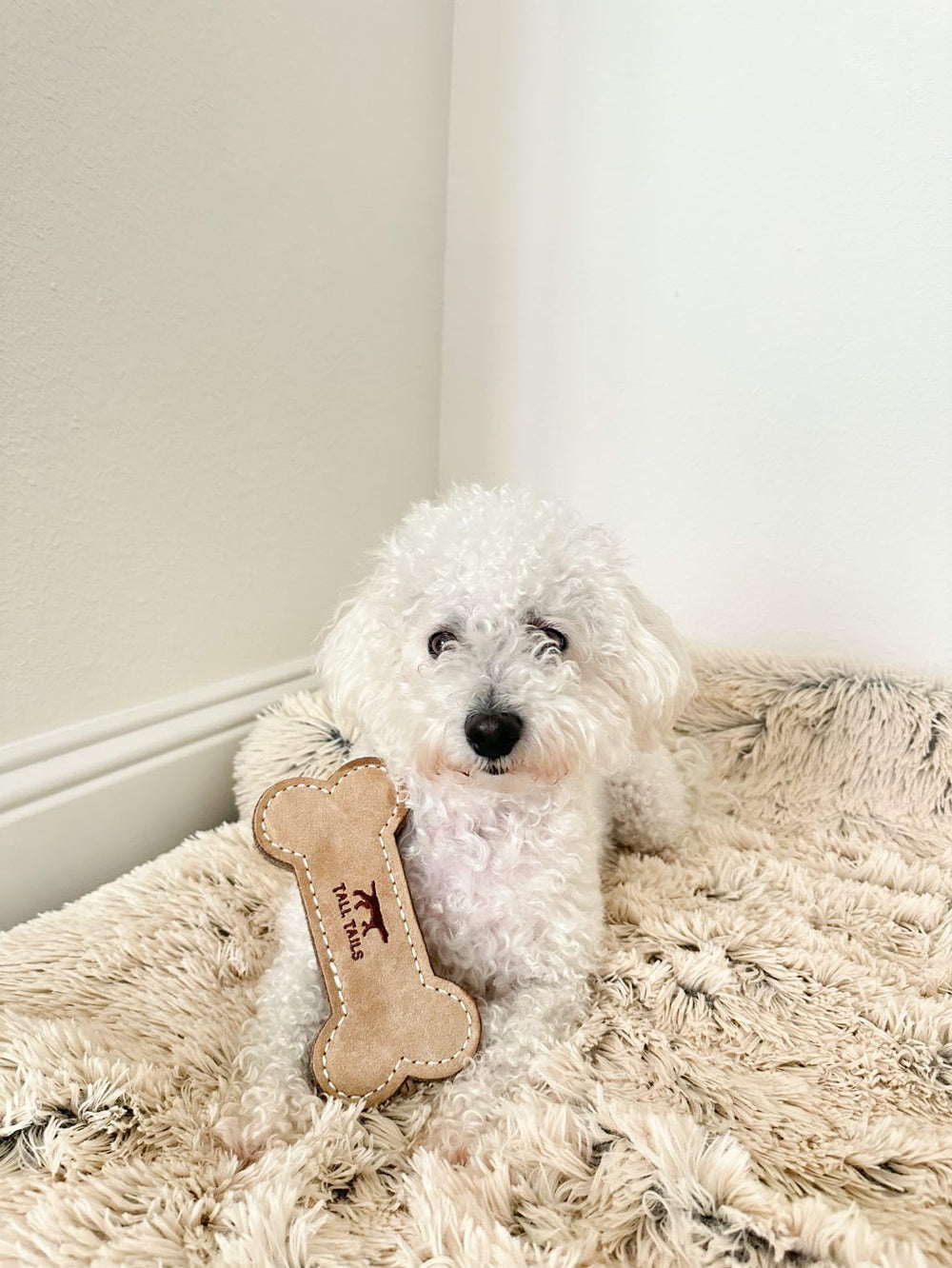 Tall Tails tug-of-war setup with the leather bone toy during play