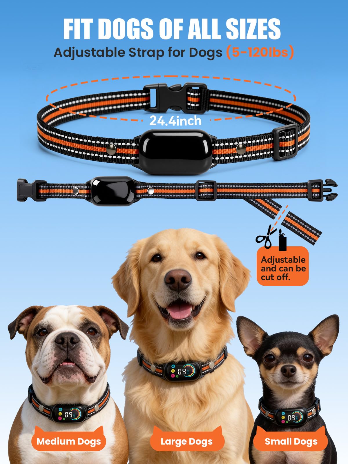 Tallentrol adjustable collar strap and sizing for different dog sizes.