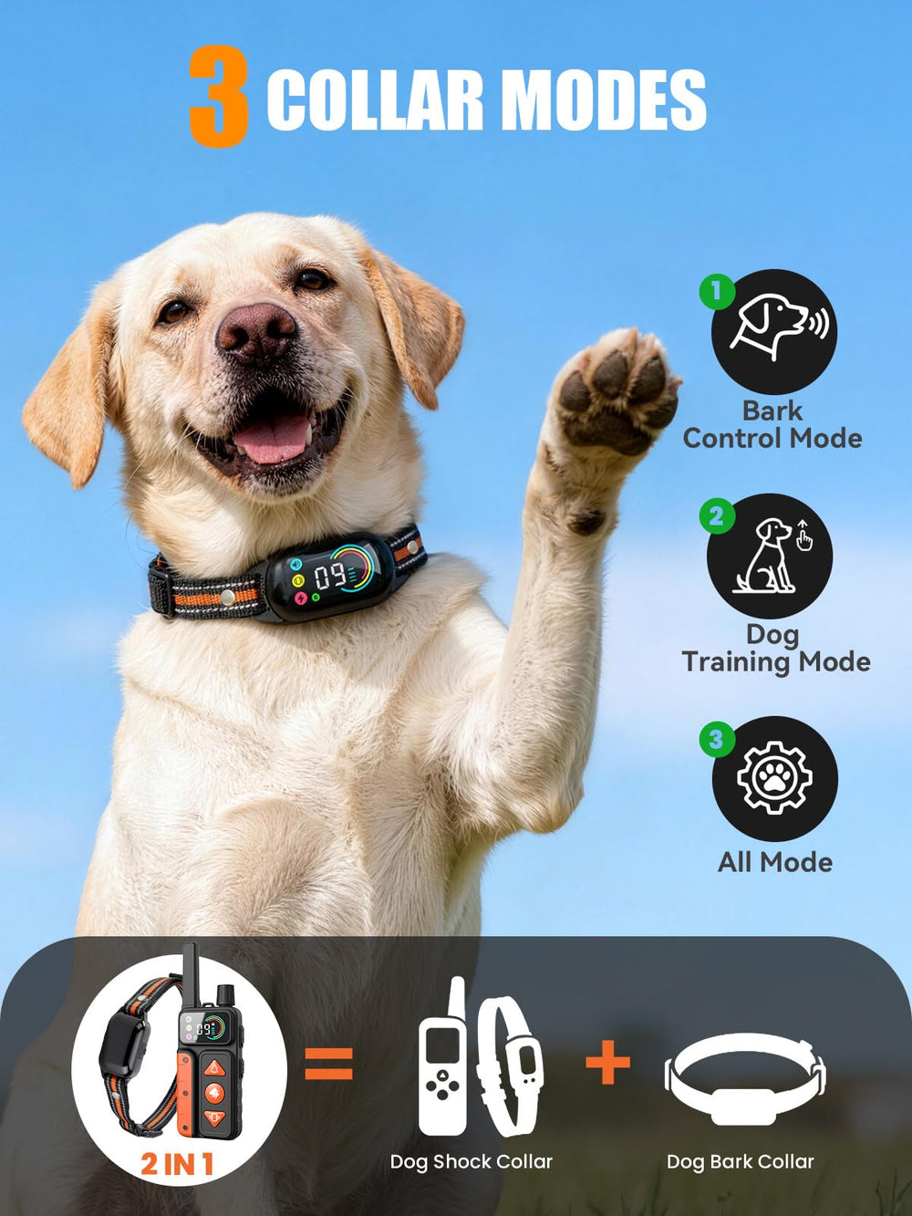 Tallentrol remote control with four training modes for versatile range use.