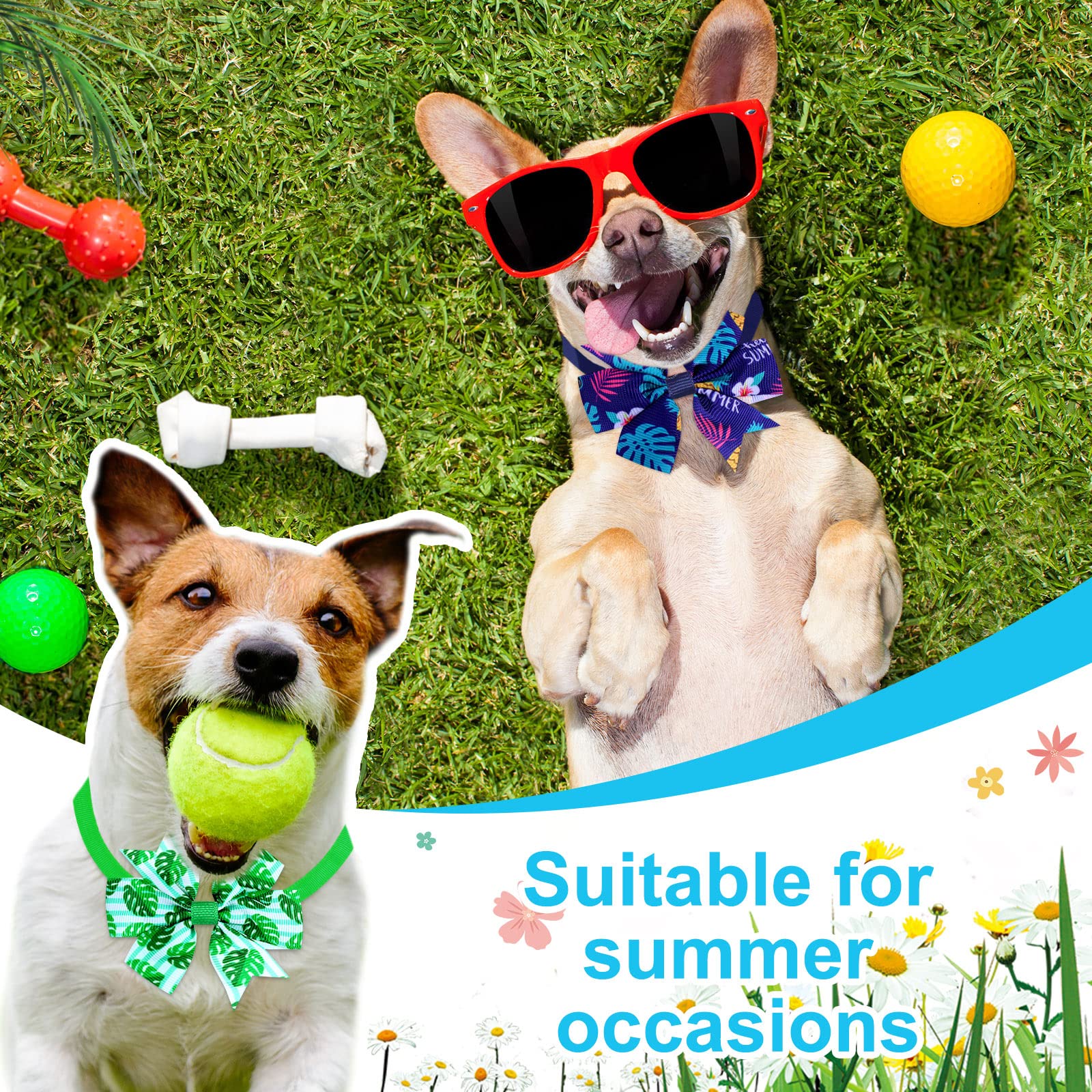 Talltalk 40-piece set, versatile pet dress options