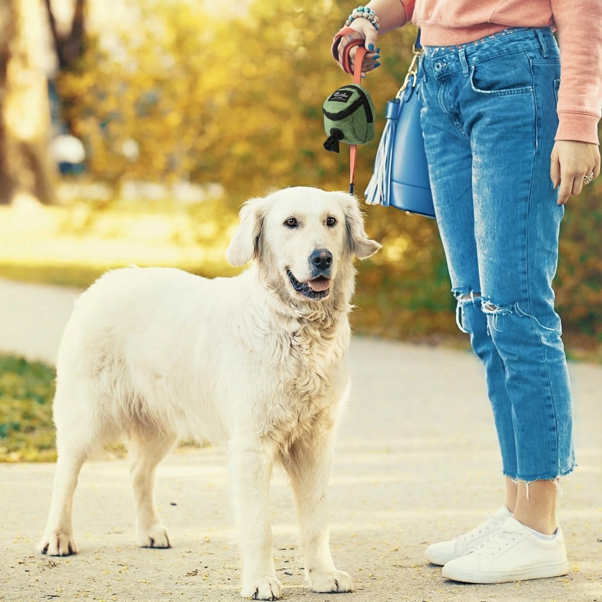 Talltalk compact outdoor dog accessory for walking and training