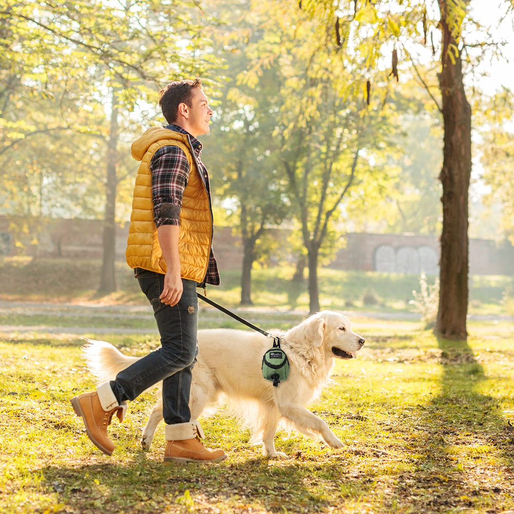 Talltalk dual-pocket design stores treats and waste bags separately during walks