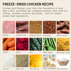 Tally's Ranch real chicken chunks emphasize high-protein flavor for dogs