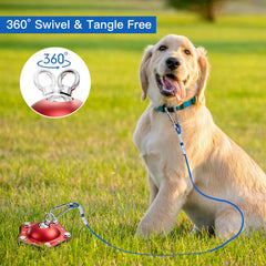 TAMABABY easy-install dog anchor kit simplifies setup with drill or hammer.