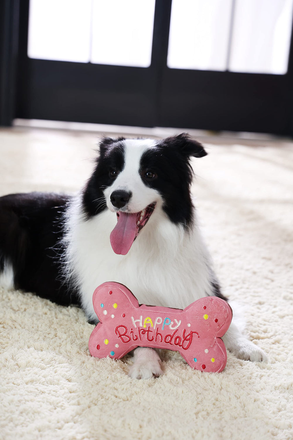 Tamu style dog birthday toy colorful designs support lively play sessions