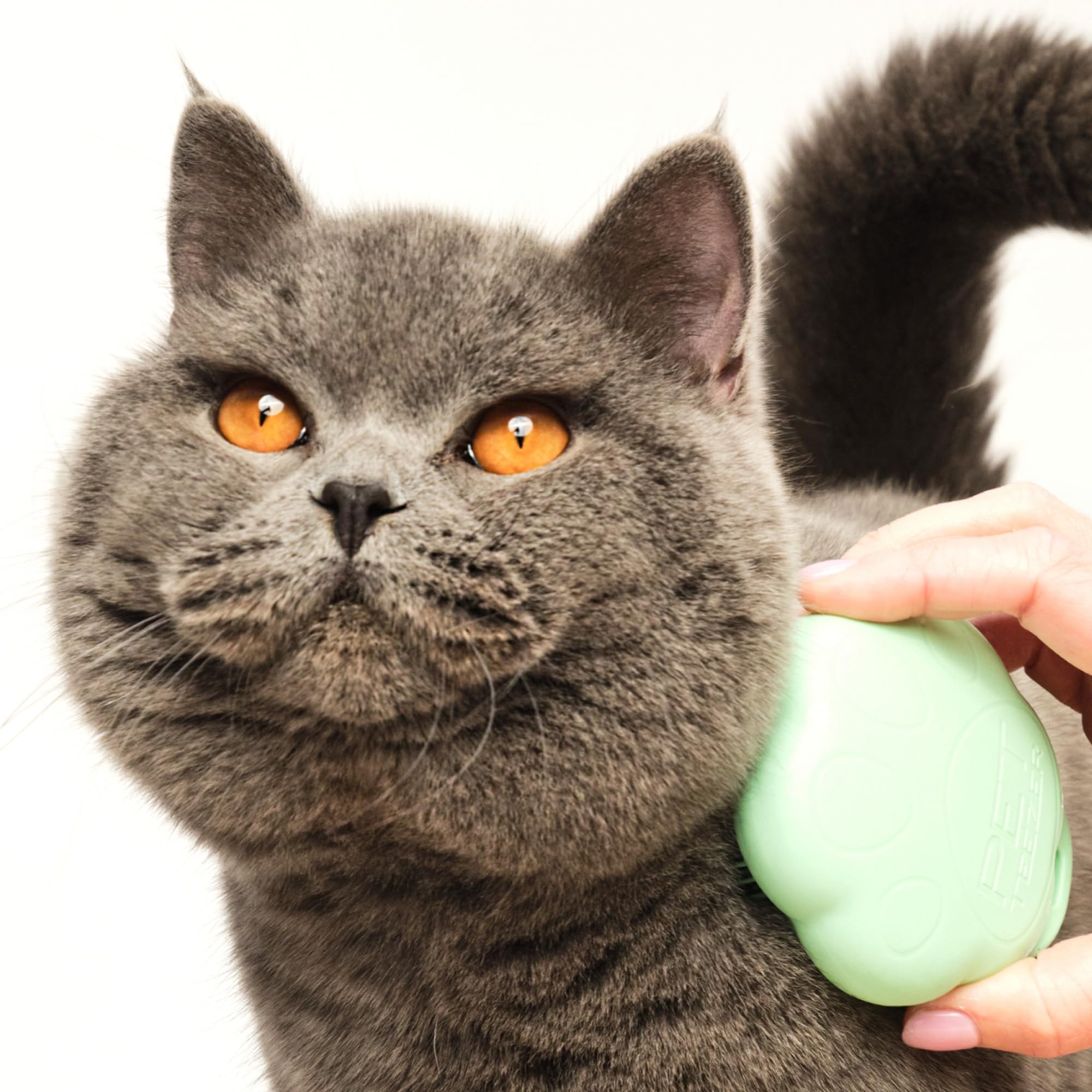 Tangle Teezer Cat Brush easy to clean after grooming