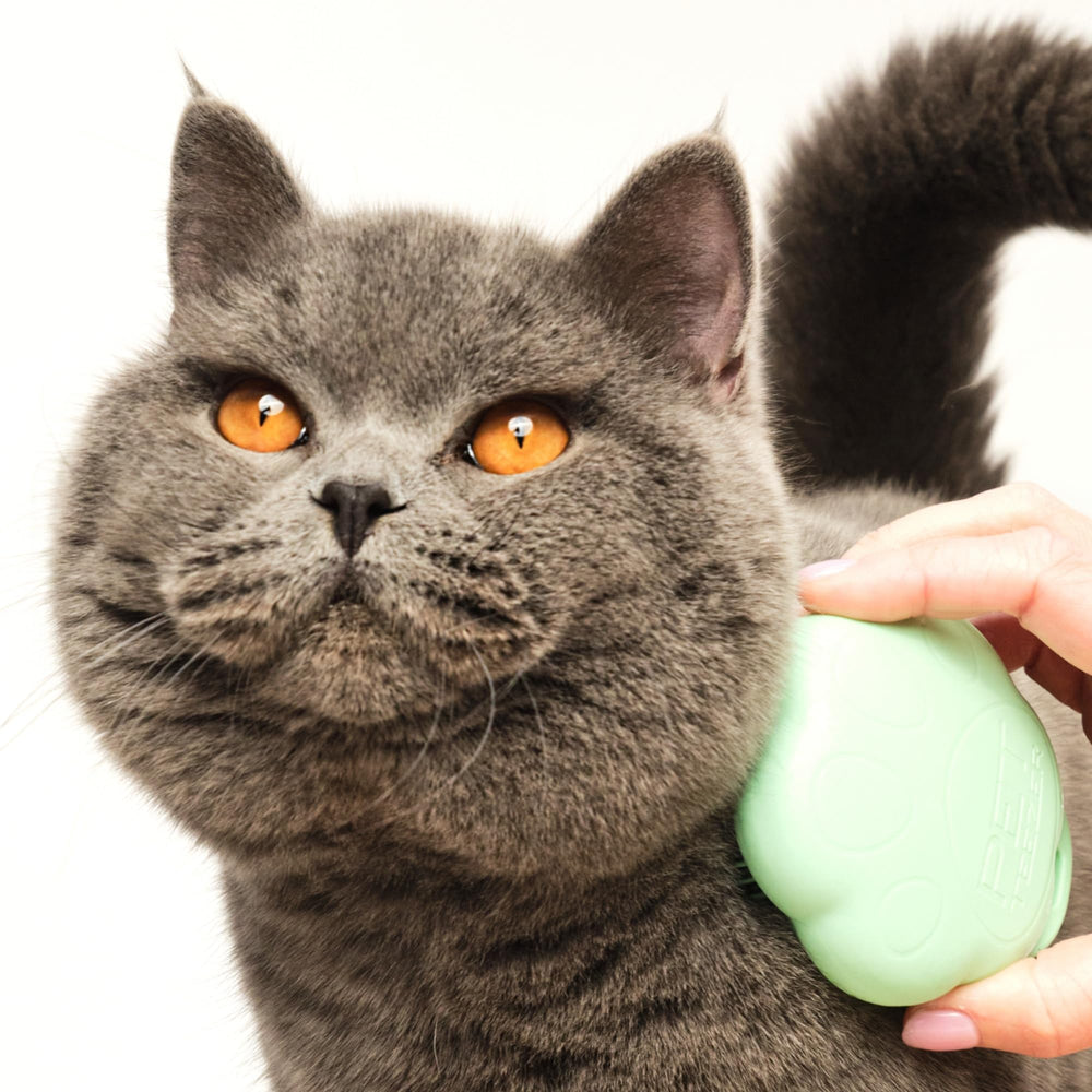Tangle Teezer Cat Brush easy to clean after grooming