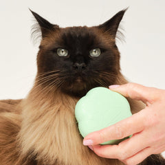 Tangle Teezer Cat Brush targets undercoat for thorough grooming