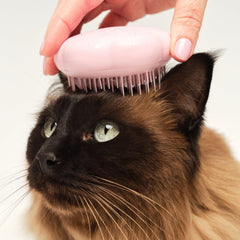 Tangle Teezer Cat Brush reaches undercoat for thorough cleaning without tugging.