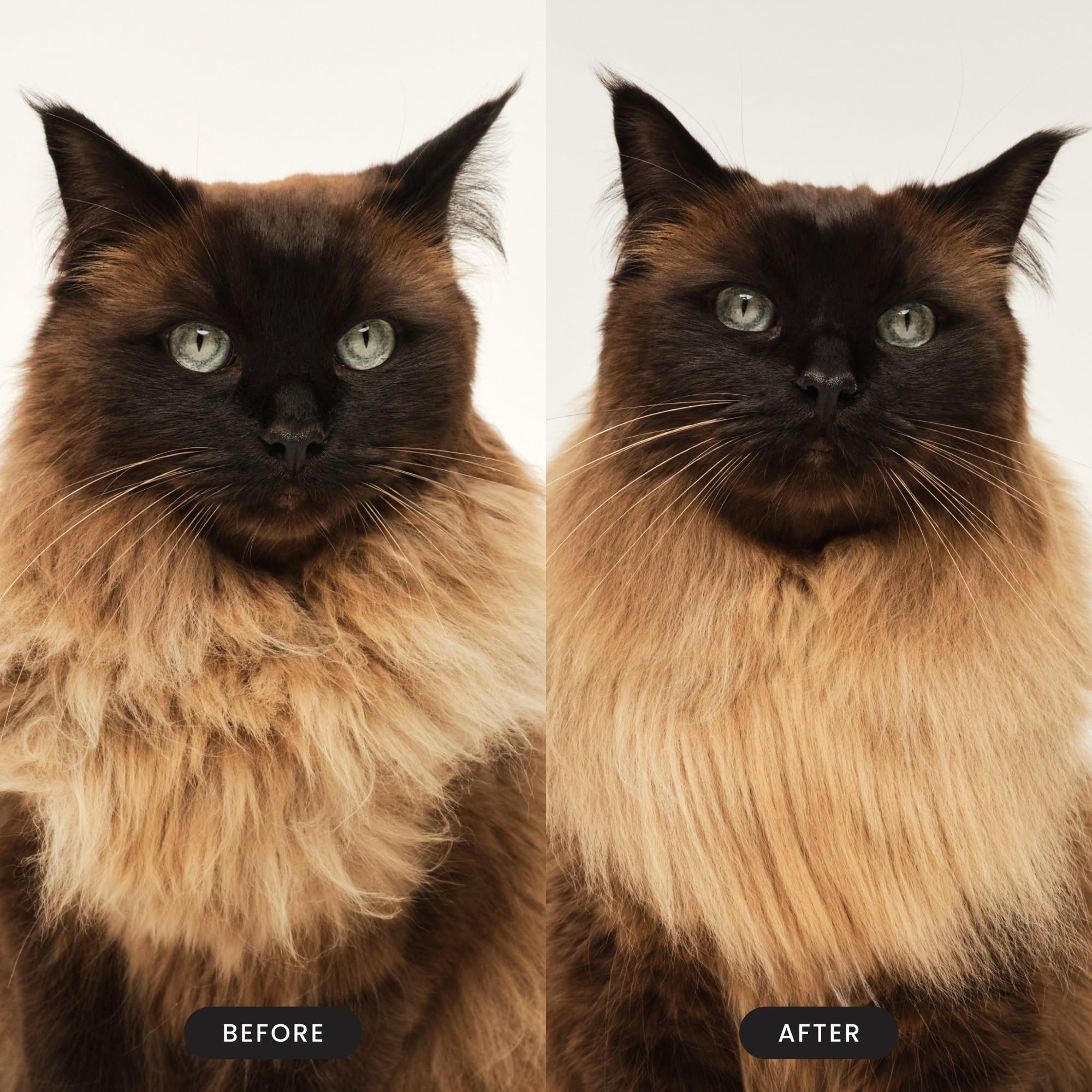Tangle Teezer Cat Brush offers ergonomic palm-friendly design for comfortable grooming.