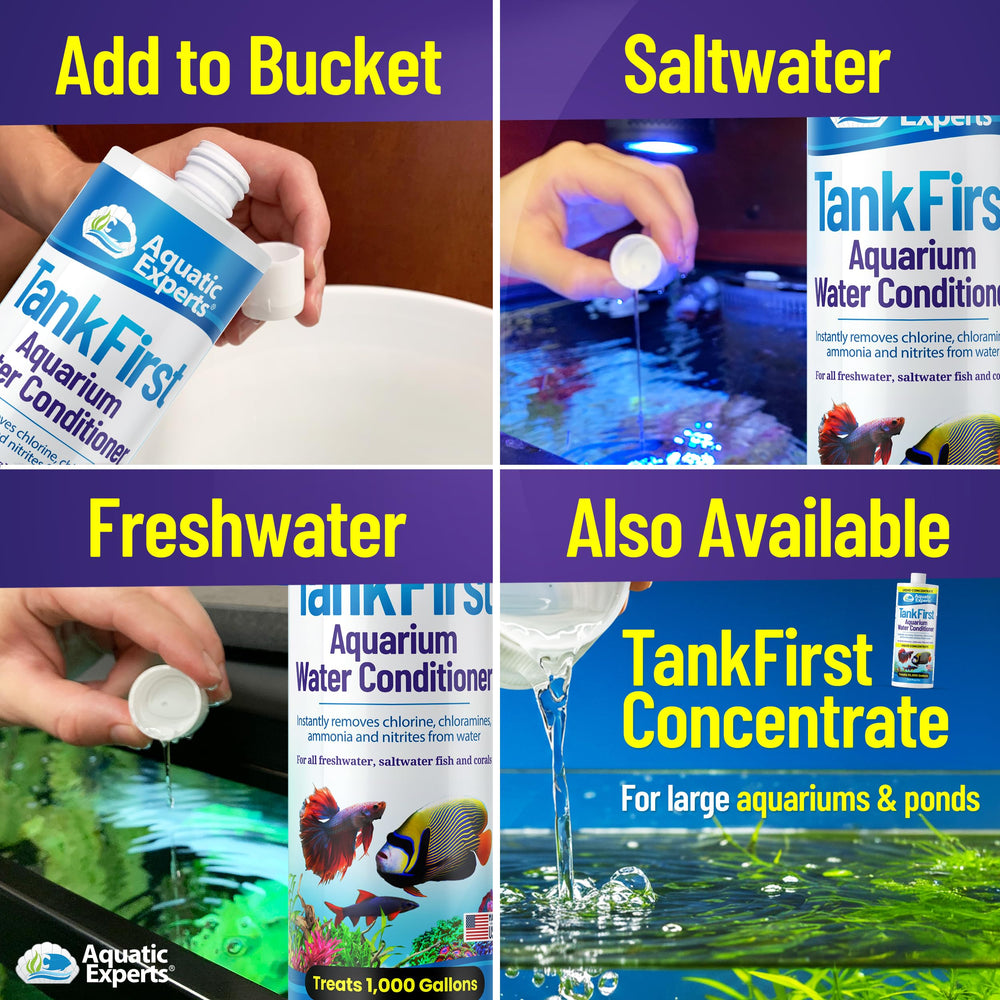 The TankFirst 500ml bottle on glass close-up emphasizes bottle size for home use.