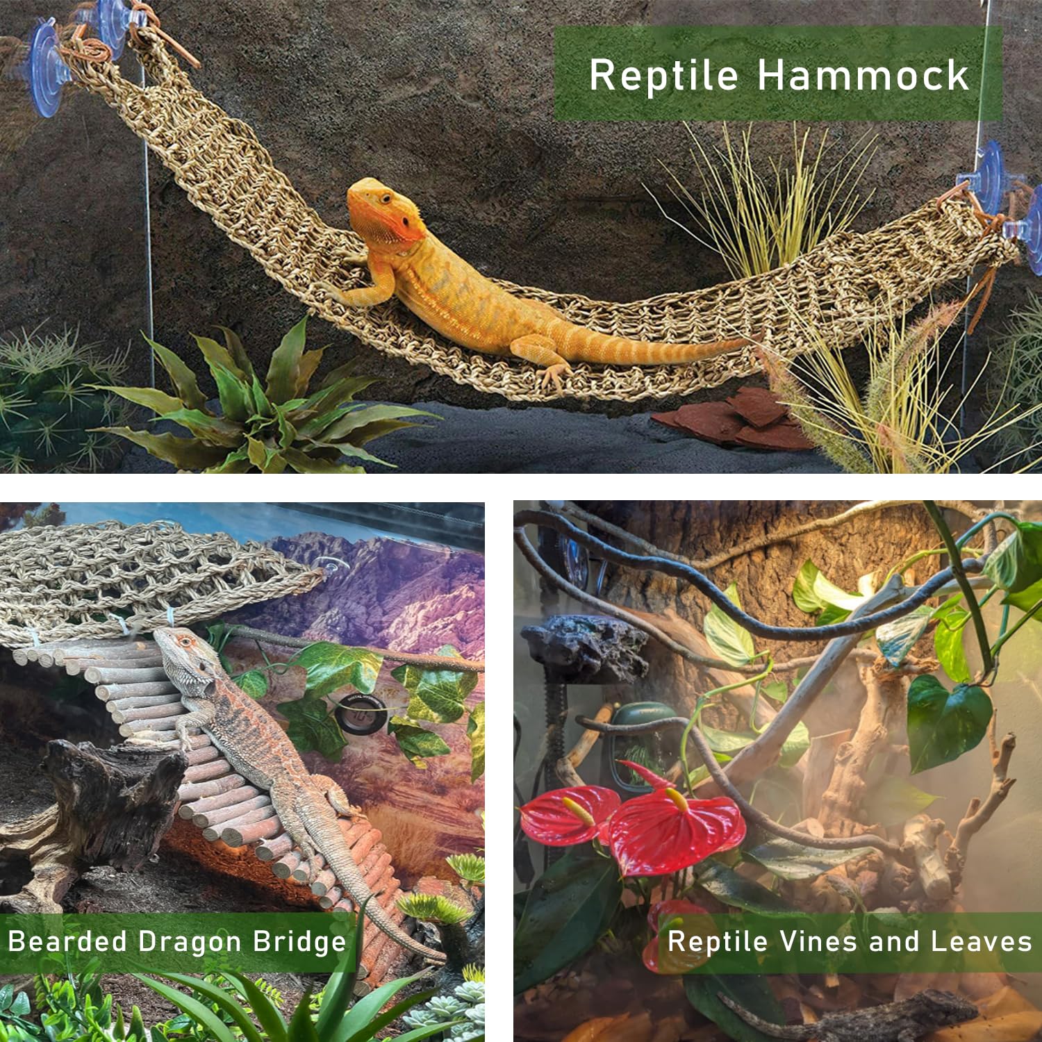 TankMatDecor reptile vines create realistic landscaping within the enclosure.