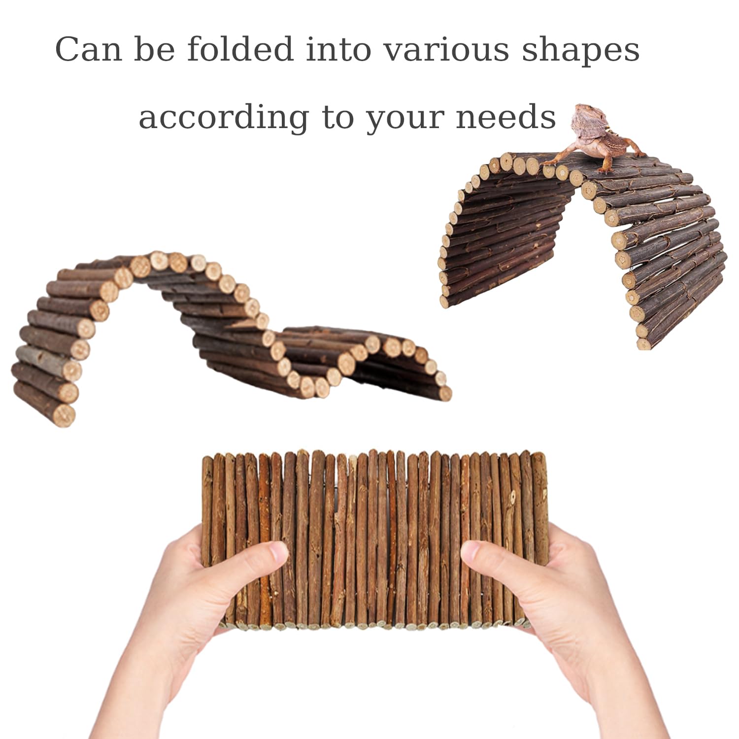 TankMatDecor stand plants A enhances layered shelter and aesthetics