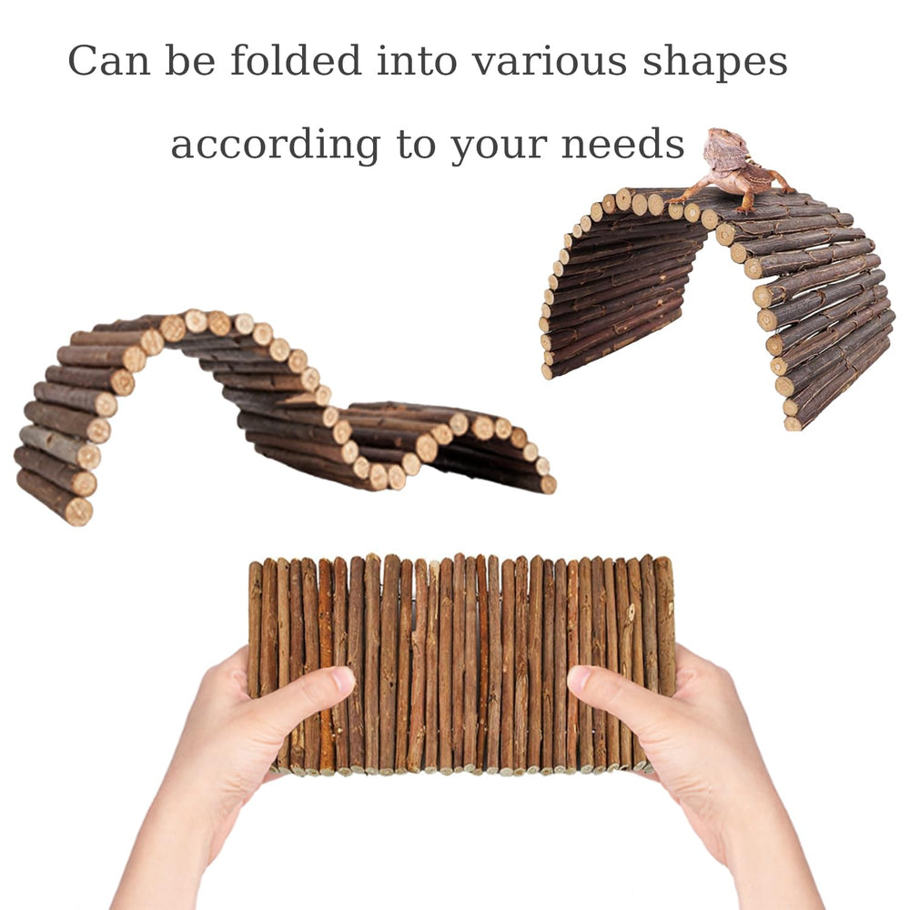 TankMatDecor stand plants A enhances layered shelter and aesthetics