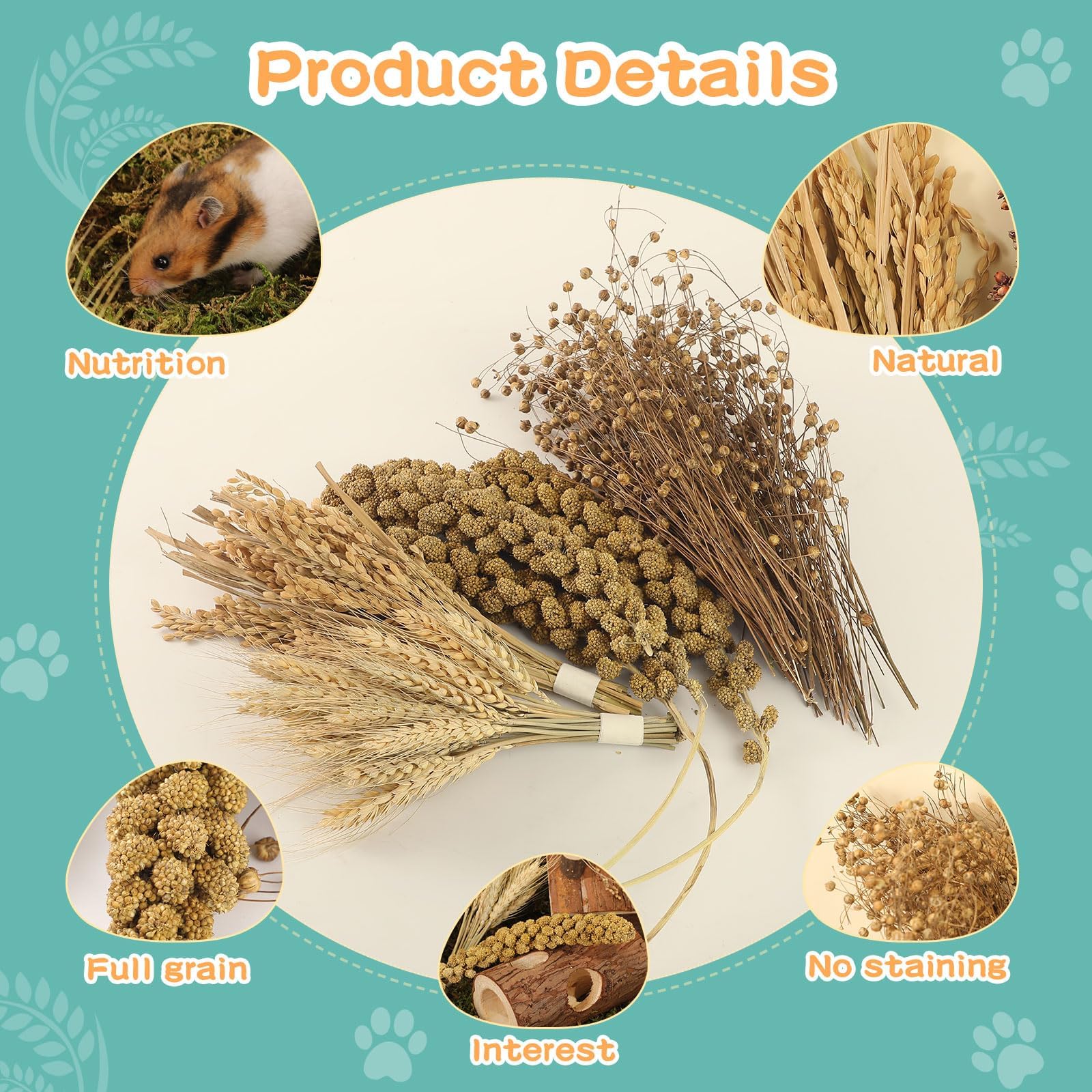 TAOKEKE bedding decor enhances cage aesthetics while supporting digging and nesting.