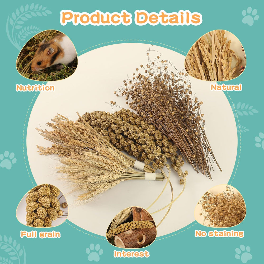 TAOKEKE bedding decor enhances cage aesthetics while supporting digging and nesting.