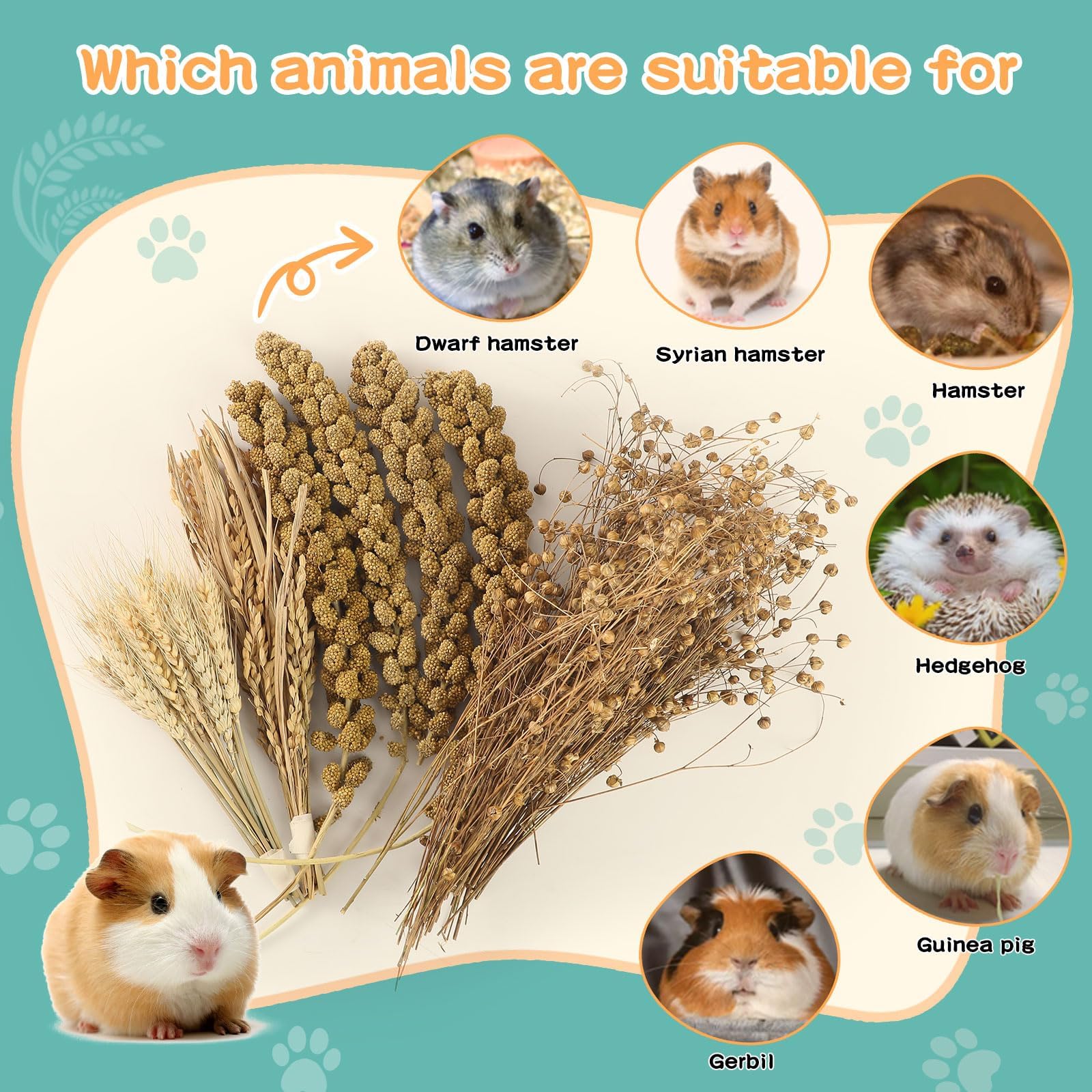 TAOKEKE cage decoration and habitat toy set boosts natural behaviors.