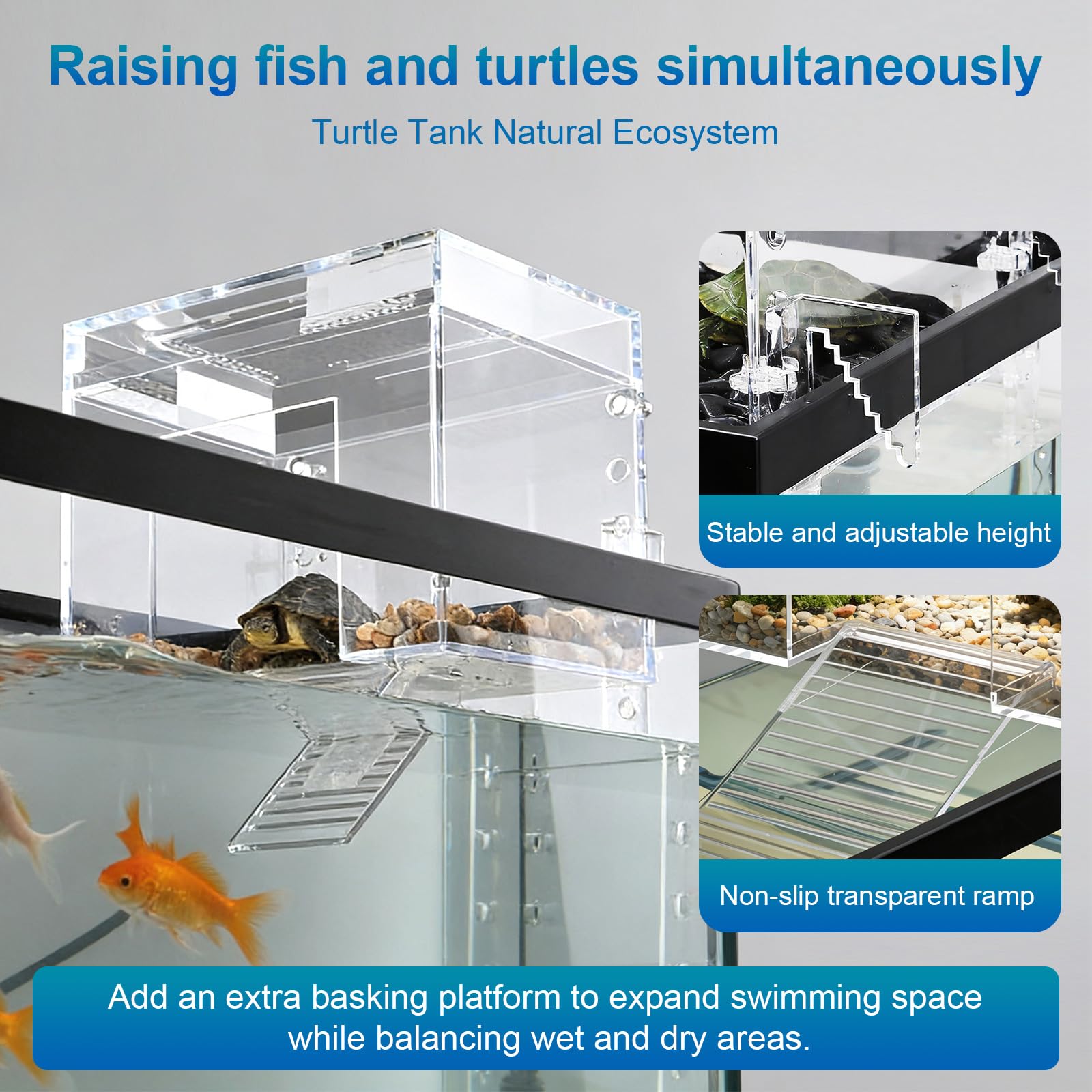 TAOKEKE escape-proof turtle dock securely contains turtles