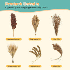 TAOKEKE flax 50g image highlighting natural bedding with high fiber content