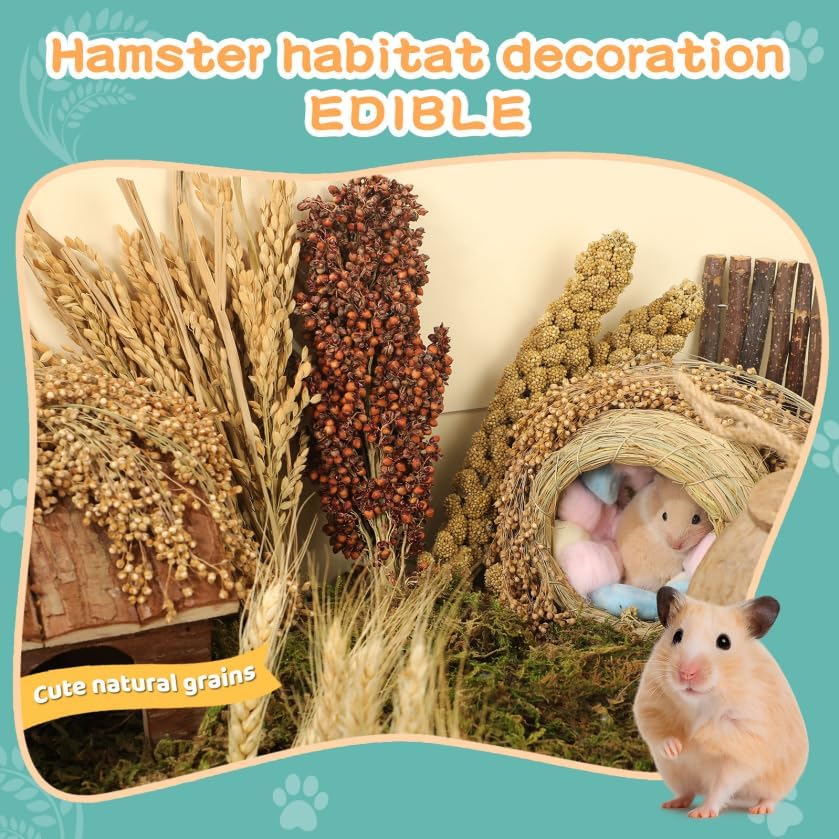 TAOKEKE foraging-friendly spray encourages exploration and activity in small pets.