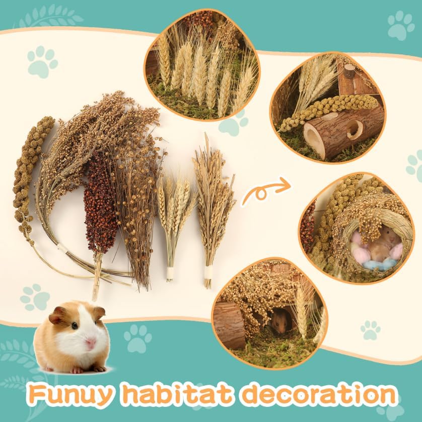 TAOKEKE rice 25sticks image offering crunchy treats and play
