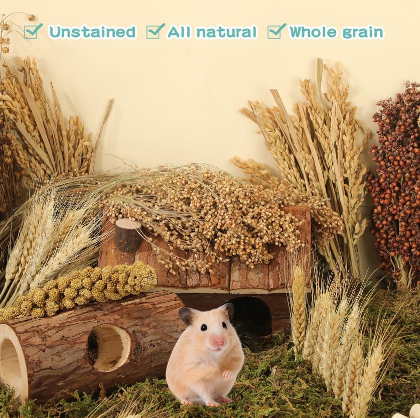 TAOKEKE versatile set suits Syrian hamsters, mice, gerbils, and more.