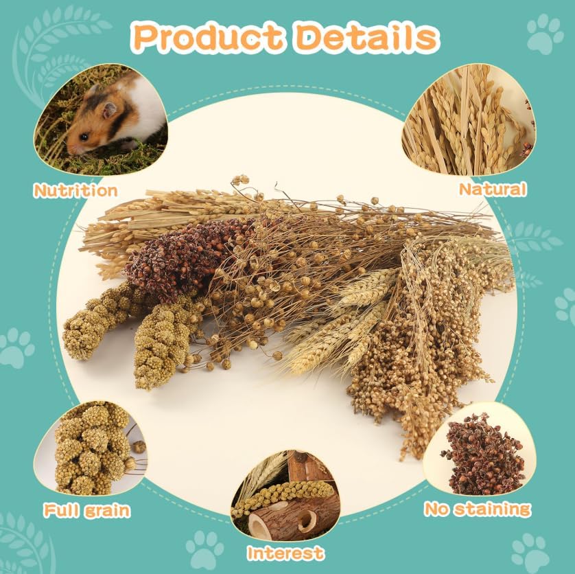 TAOKEKE sorghum millet 25sticks image promoting exploration and habitat enrichment