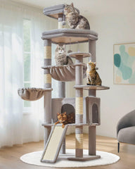 Taoqimiao 72-inch cat tree base view for stable multi-cat play.