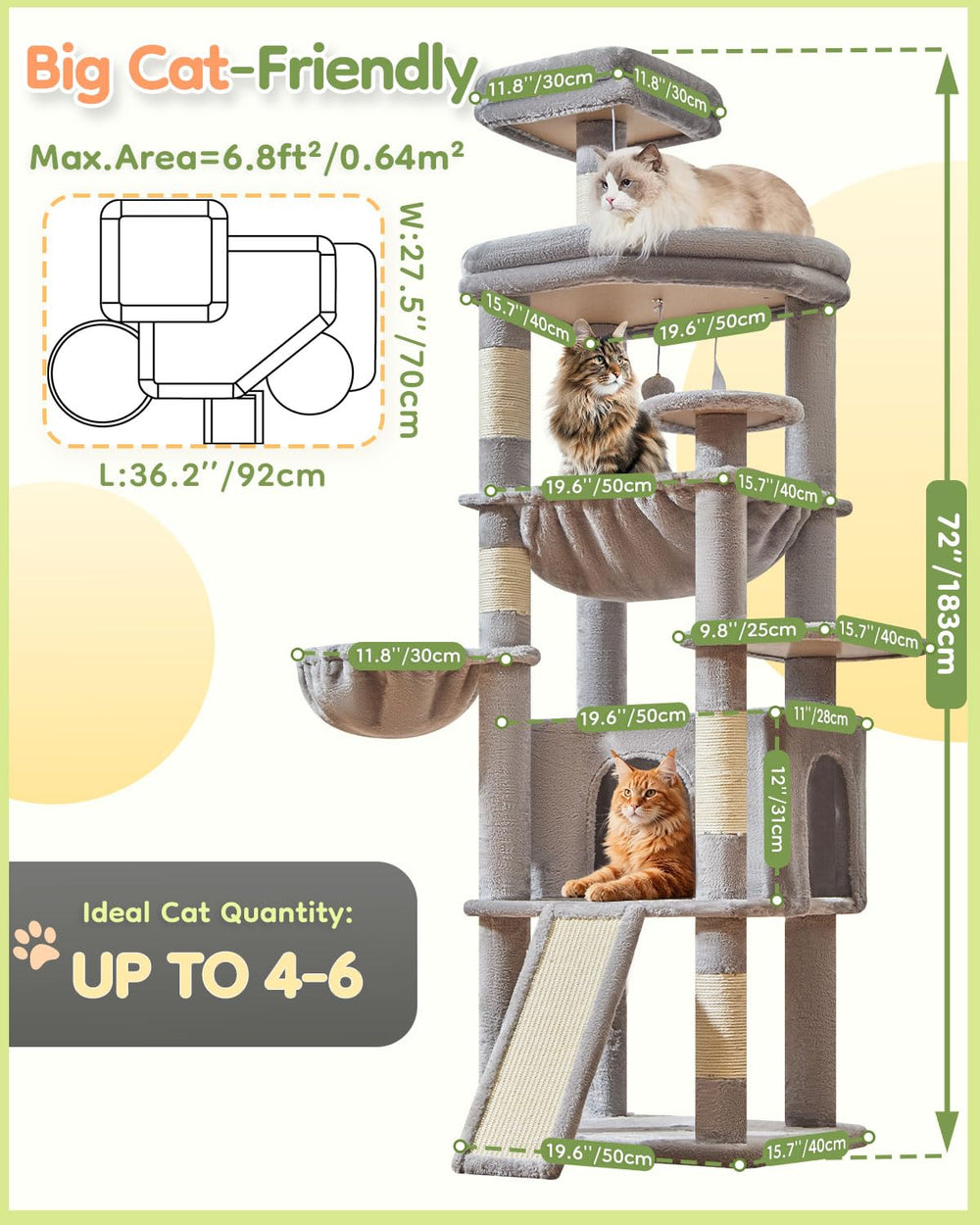 Taoqimiao widened condo lets large cats stretch out comfortably.