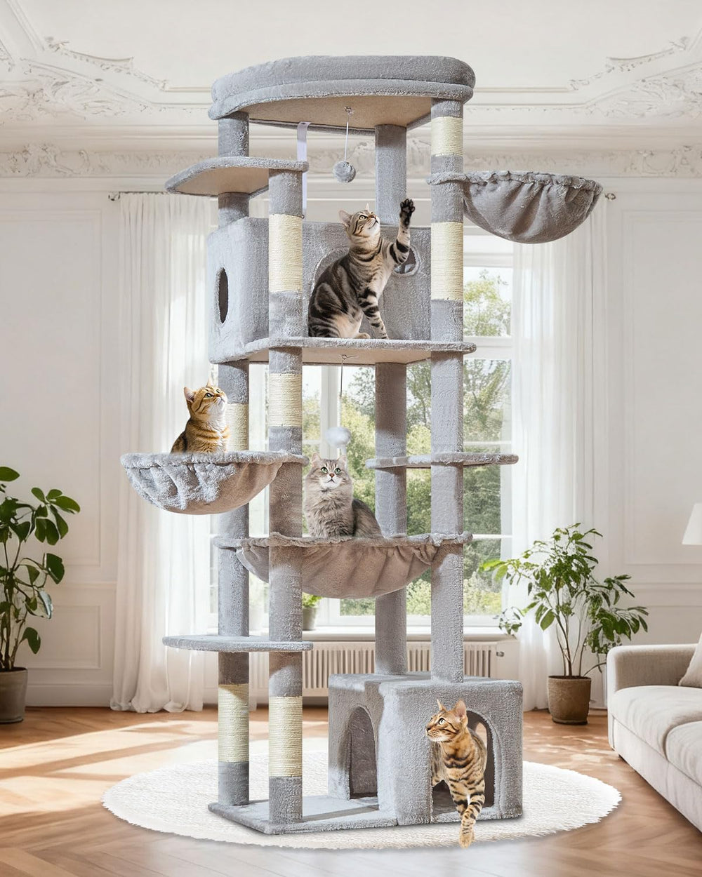 Taoqimiao 72-inch top viewing platform provides a wide view and cozy resting spot.